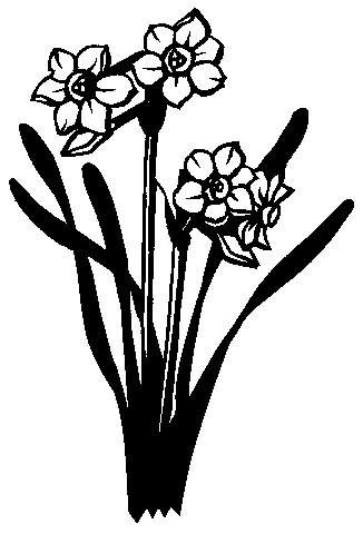 切り絵「すいせん」