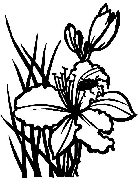 切り絵