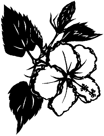 haibisukasu