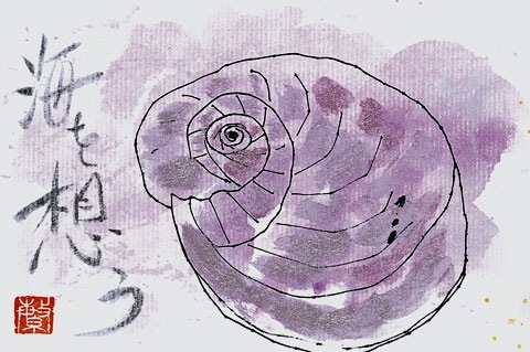 絵手紙　巻貝「海を想う」